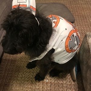 B.B.-8 Star Wars dog costume xl
